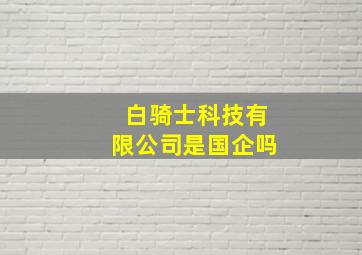 白骑士科技有限公司是国企吗