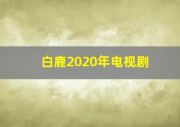 白鹿2020年电视剧