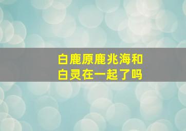 白鹿原鹿兆海和白灵在一起了吗