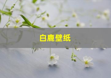 白鹿壁纸