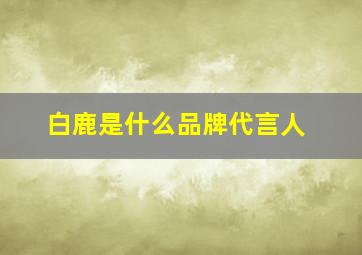 白鹿是什么品牌代言人