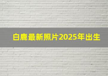 白鹿最新照片2025年出生