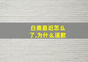 白鹿最近怎么了,为什么道歉