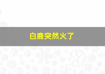 白鹿突然火了