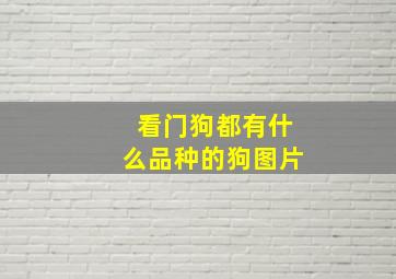 看门狗都有什么品种的狗图片