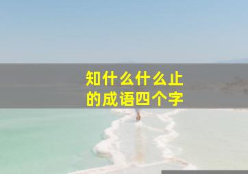 知什么什么止的成语四个字