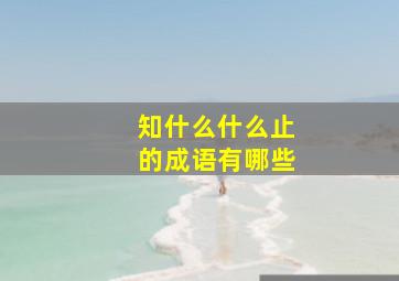 知什么什么止的成语有哪些