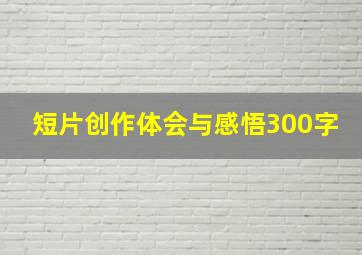 短片创作体会与感悟300字