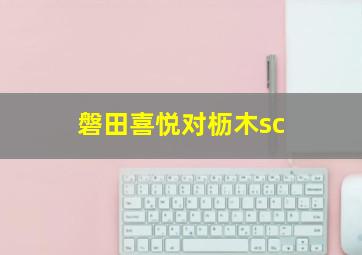 磐田喜悦对枥木sc