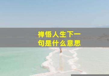 禅悟人生下一句是什么意思