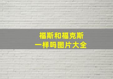 福斯和福克斯一样吗图片大全