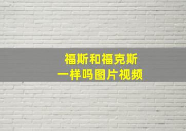 福斯和福克斯一样吗图片视频