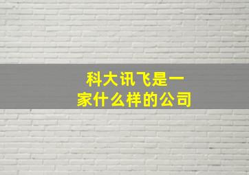 科大讯飞是一家什么样的公司