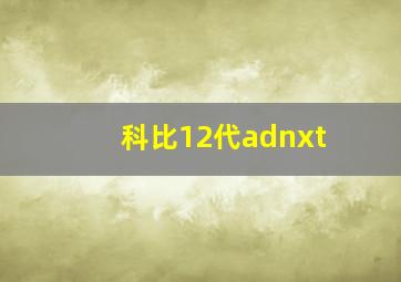 科比12代adnxt