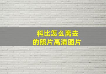 科比怎么离去的照片高清图片