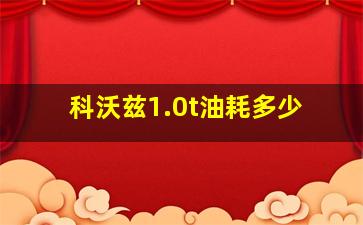 科沃兹1.0t油耗多少