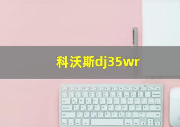 科沃斯dj35wr