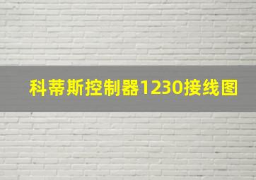 科蒂斯控制器1230接线图