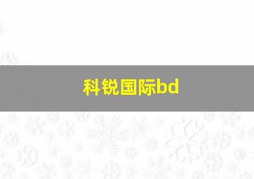 科锐国际bd