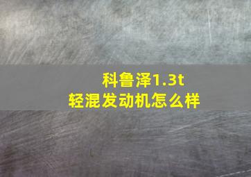 科鲁泽1.3t轻混发动机怎么样