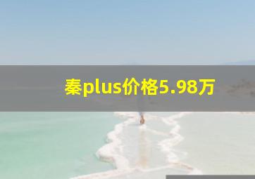 秦plus价格5.98万