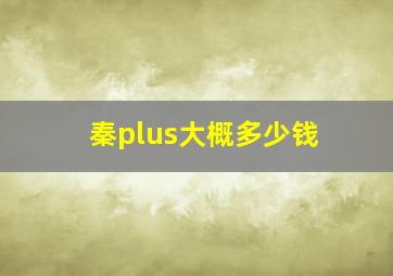 秦plus大概多少钱