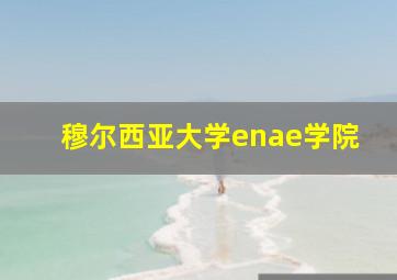 穆尔西亚大学enae学院