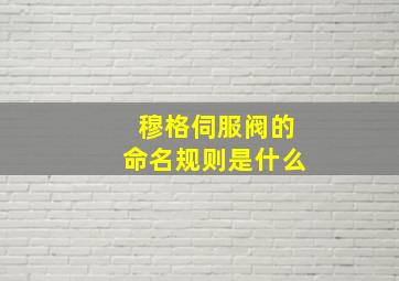 穆格伺服阀的命名规则是什么