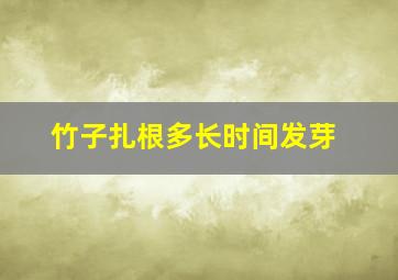 竹子扎根多长时间发芽