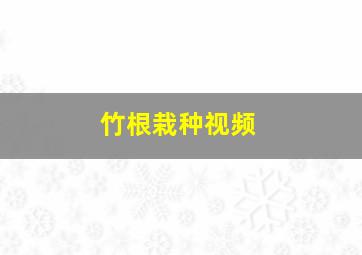 竹根栽种视频