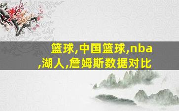 篮球,中国篮球,nba,湖人,詹姆斯数据对比