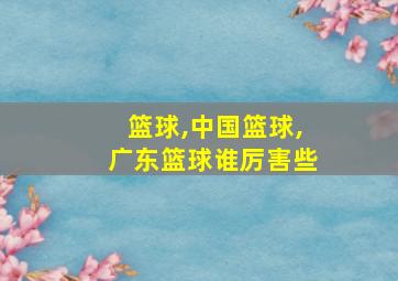 篮球,中国篮球,广东篮球谁厉害些