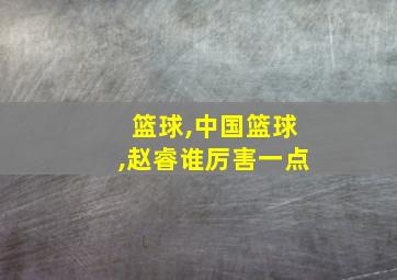 篮球,中国篮球,赵睿谁厉害一点