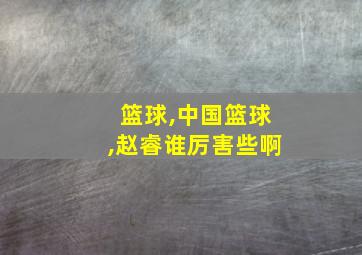 篮球,中国篮球,赵睿谁厉害些啊