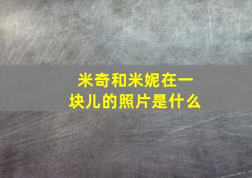 米奇和米妮在一块儿的照片是什么