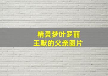 精灵梦叶罗丽王默的父亲图片