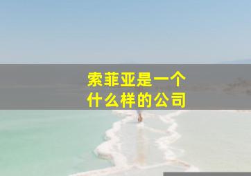 索菲亚是一个什么样的公司