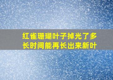 红雀珊瑚叶子掉光了多长时间能再长出来新叶