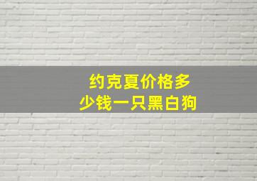 约克夏价格多少钱一只黑白狗