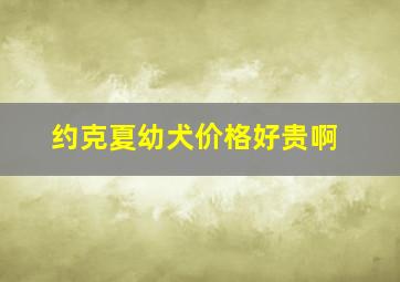 约克夏幼犬价格好贵啊