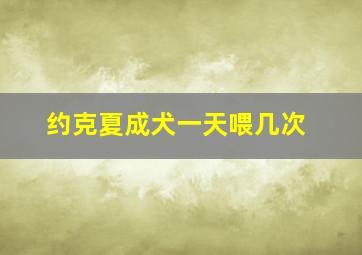 约克夏成犬一天喂几次