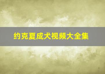 约克夏成犬视频大全集