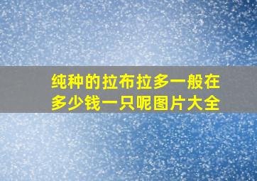 纯种的拉布拉多一般在多少钱一只呢图片大全