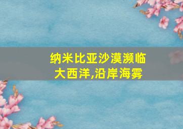 纳米比亚沙漠濒临大西洋,沿岸海雾