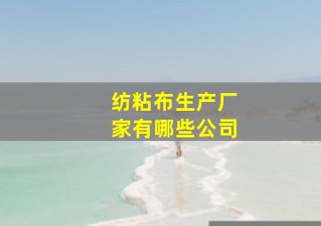 纺粘布生产厂家有哪些公司