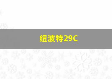 纽波特29C