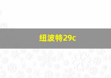 纽波特29c