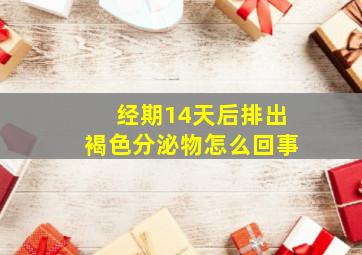 经期14天后排出褐色分泌物怎么回事