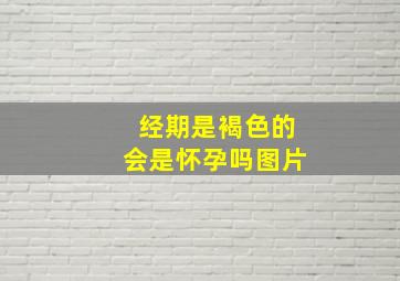 经期是褐色的会是怀孕吗图片