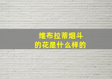 维布拉蒂烟斗的花是什么样的